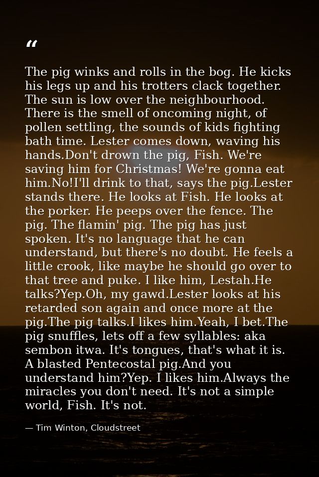 The pig winks and rolls in the bog. He kicks his legs up and his trotters clack together. The sun is low over the neighb — Tim Winton, Cloudstreet