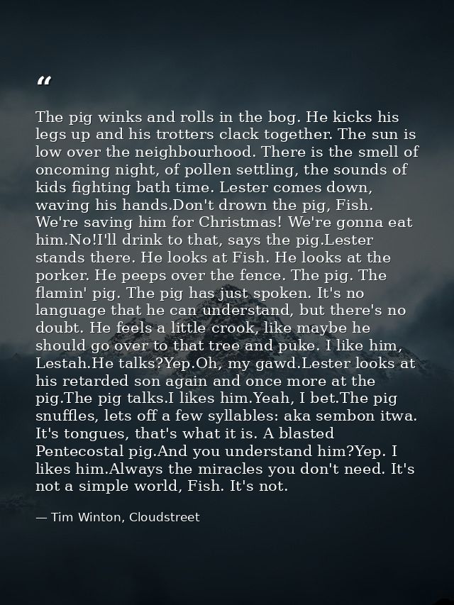 The pig winks and rolls in the bog. He kicks his legs up and his trotters clack together. The sun is low over the neighb — Tim Winton, Cloudstreet