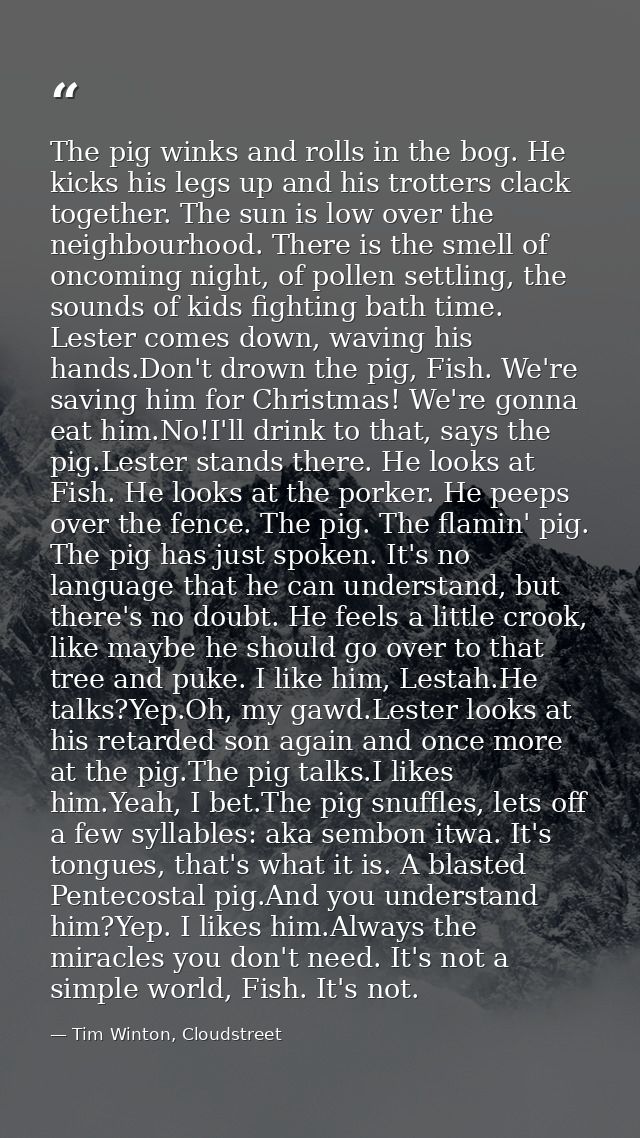 The pig winks and rolls in the bog. He kicks his legs up and his trotters clack together. The sun is low over the neighb — Tim Winton, Cloudstreet