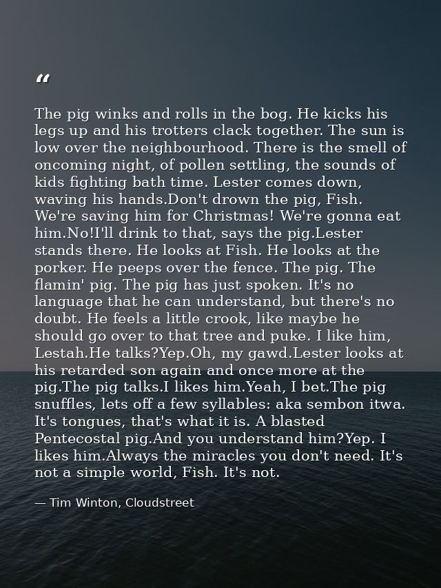 The pig winks and rolls in the bog. He kicks his legs up and his trotters clack together. The sun is low over the neighb — Tim Winton, Cloudstreet