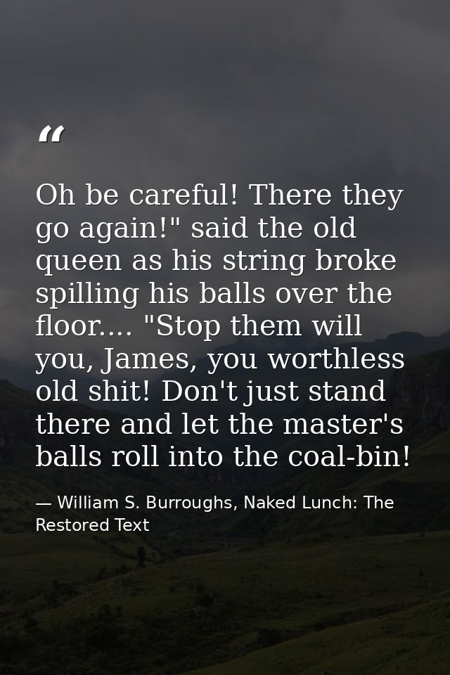 Oh be careful! There they go again!" said the old queen as his string broke spilling his balls over the floor.... "Stop  — William S. Burroughs, Naked Lunch: The Restored Text