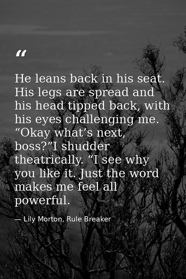 He leans back in his seat. His legs are spread and his head tipped back, with his eyes challenging me. “Okay what’s next — Lily Morton, Rule Breaker