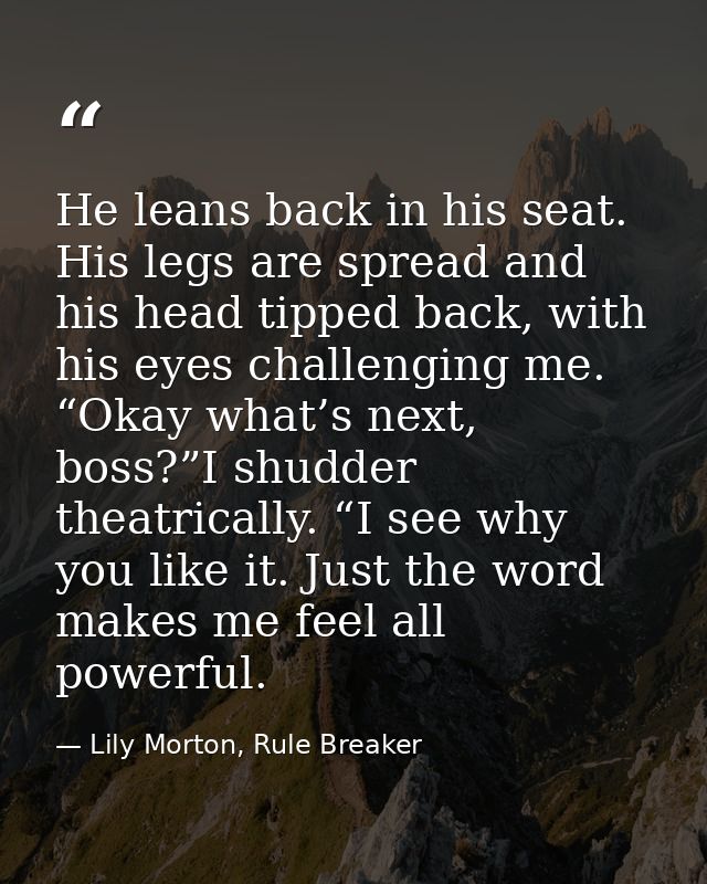He leans back in his seat. His legs are spread and his head tipped back, with his eyes challenging me. “Okay what’s next — Lily Morton, Rule Breaker