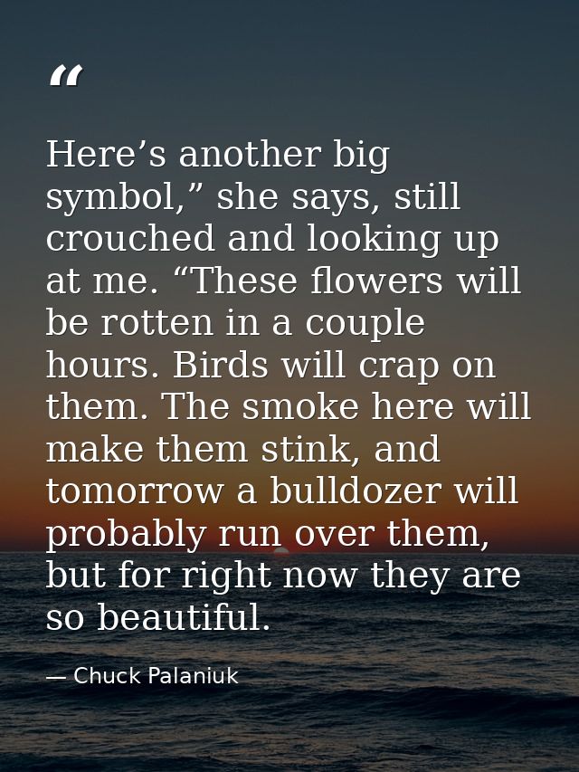 Here’s another big symbol,” she says, still crouched and looking up at me. “These flowers will be rotten in a couple hou — Chuck Palaniuk