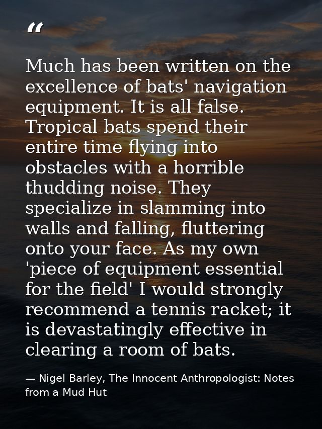 Much has been written on the excellence of bats' navigation equipment. It is all false. Tropical bats spend their entire — Nigel Barley, The Innocent Anthropologist: Notes from a Mud Hut