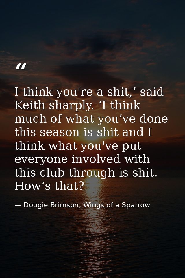 I think you're a shit,’ said Keith sharply. ‘I think much of what you’ve done this season is shit and I think what you'v — Dougie Brimson, Wings of a Sparrow