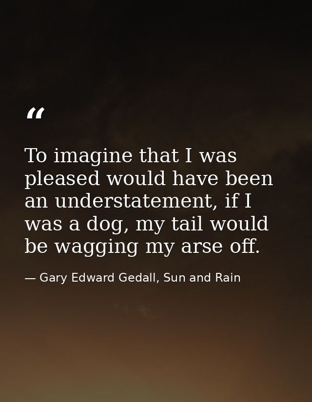 To imagine that I was pleased would have been an understatement, if I was a dog, my tail would be wagging my arse off. — Gary Edward Gedall, Sun and Rain