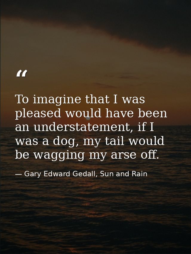 To imagine that I was pleased would have been an understatement, if I was a dog, my tail would be wagging my arse off. — Gary Edward Gedall, Sun and Rain