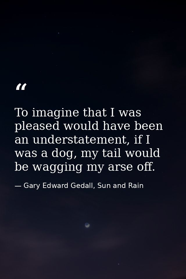 To imagine that I was pleased would have been an understatement, if I was a dog, my tail would be wagging my arse off. — Gary Edward Gedall, Sun and Rain