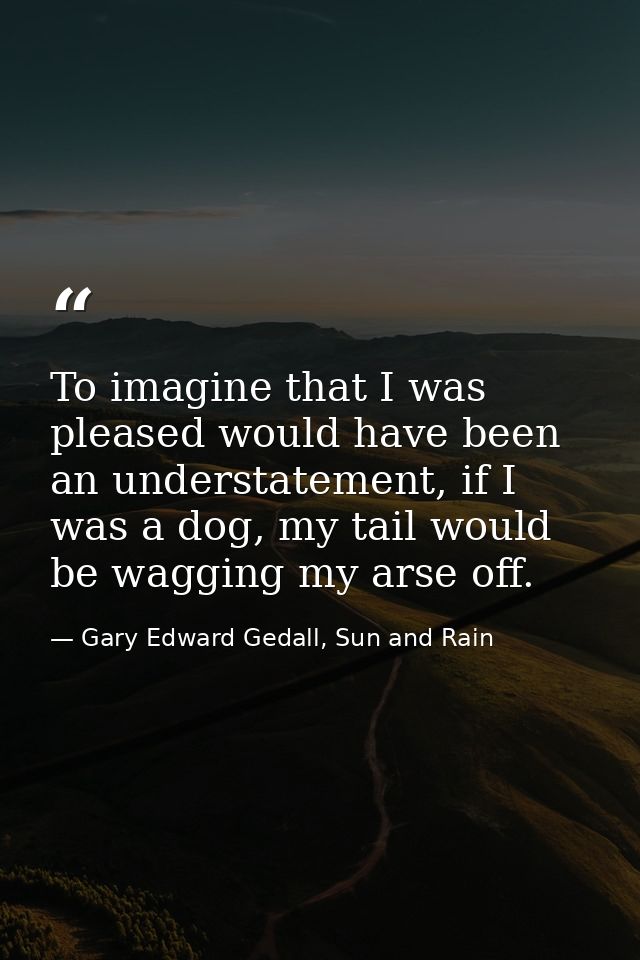 To imagine that I was pleased would have been an understatement, if I was a dog, my tail would be wagging my arse off. — Gary Edward Gedall, Sun and Rain