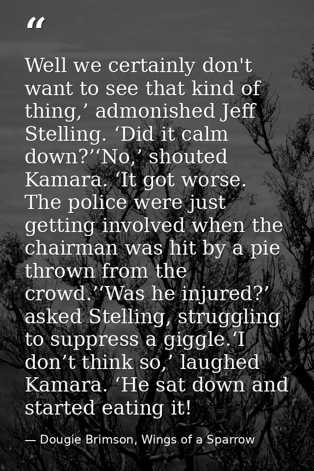 Well we certainly don't want to see that kind of thing,’ admonished Jeff Stelling. ‘Did it calm down?’‘No,’ shouted Kama — Dougie Brimson, Wings of a Sparrow