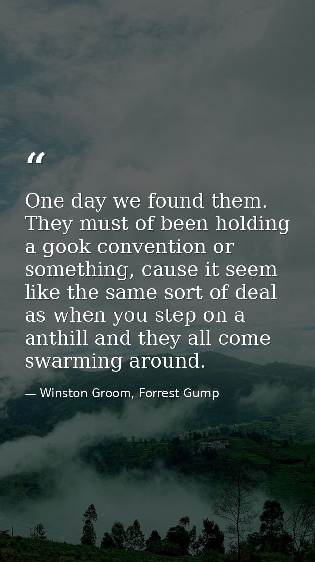 One day we found them. They must of been holding a gook convention or something, cause it seem like the same sort of dea — Winston Groom, Forrest Gump