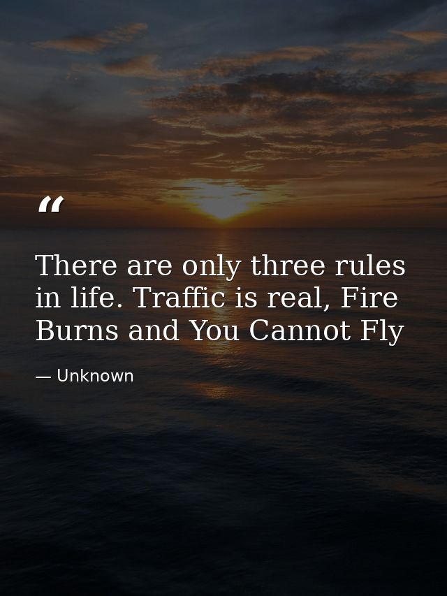 There are only three rules in life. Traffic is real, Fire Burns and You Cannot Fly — Unknown