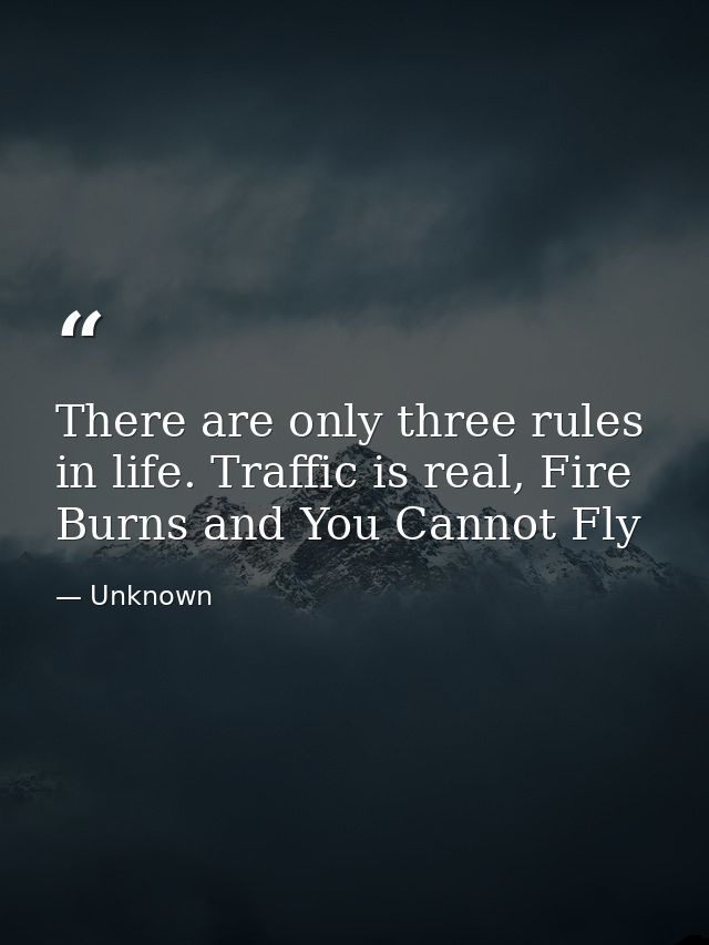 There are only three rules in life. Traffic is real, Fire Burns and You Cannot Fly — Unknown