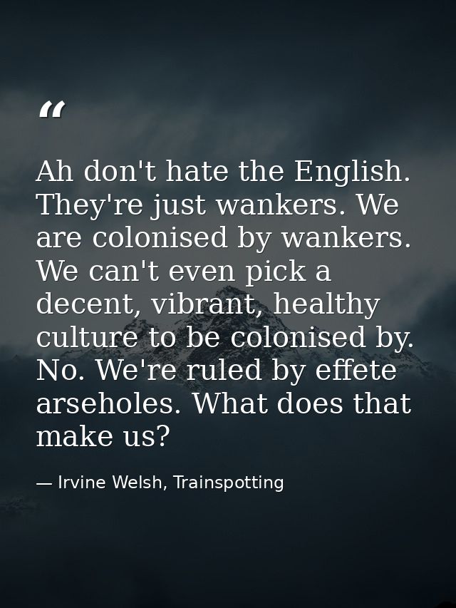 Ah don't hate the English. They're just wankers. We are colonised by wankers. We can't even pick a decent, vibrant, heal — Irvine Welsh, Trainspotting