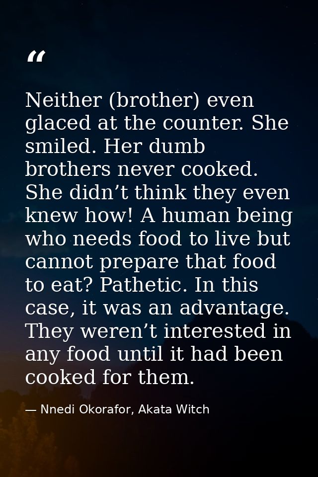 Neither (brother) even glaced at the counter. She smiled. Her dumb brothers never cooked. She didn’t think they even kne — Nnedi Okorafor, Akata Witch