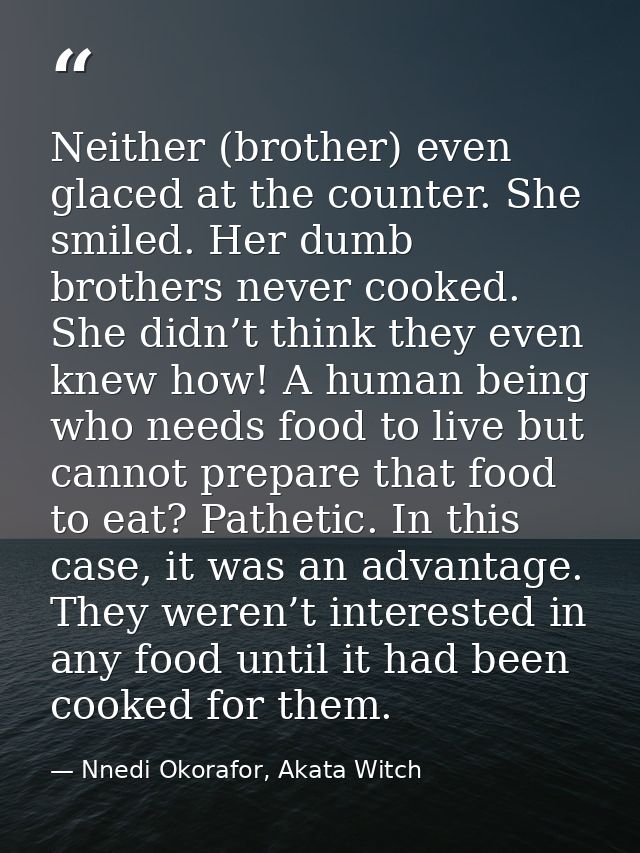 Neither (brother) even glaced at the counter. She smiled. Her dumb brothers never cooked. She didn’t think they even kne — Nnedi Okorafor, Akata Witch