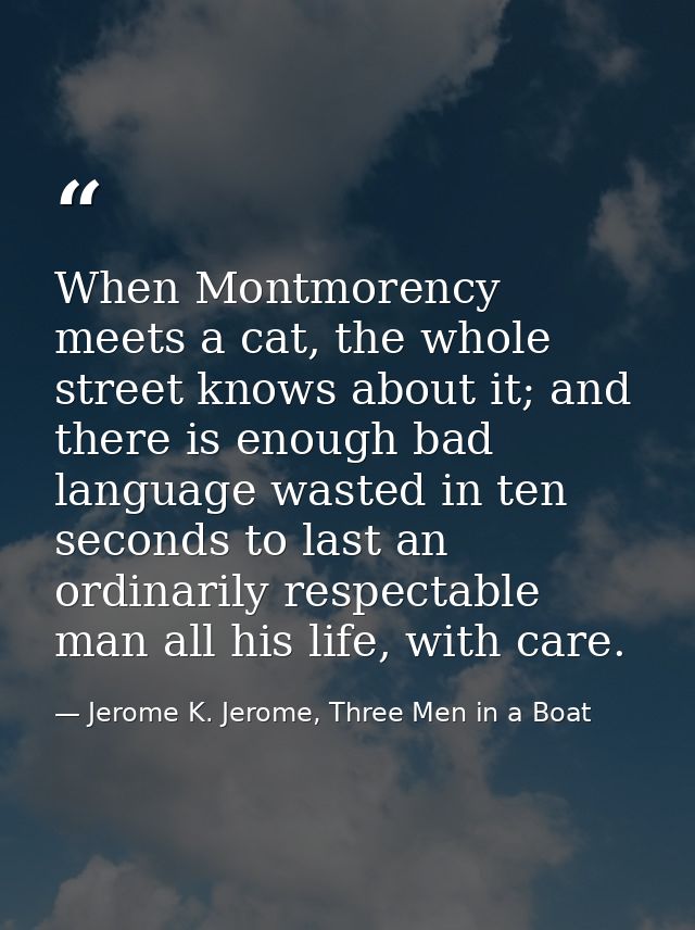When Montmorency meets a cat, the whole street knows about it; and there is enough bad language wasted in ten seconds to — Jerome K. Jerome, Three Men in a Boat