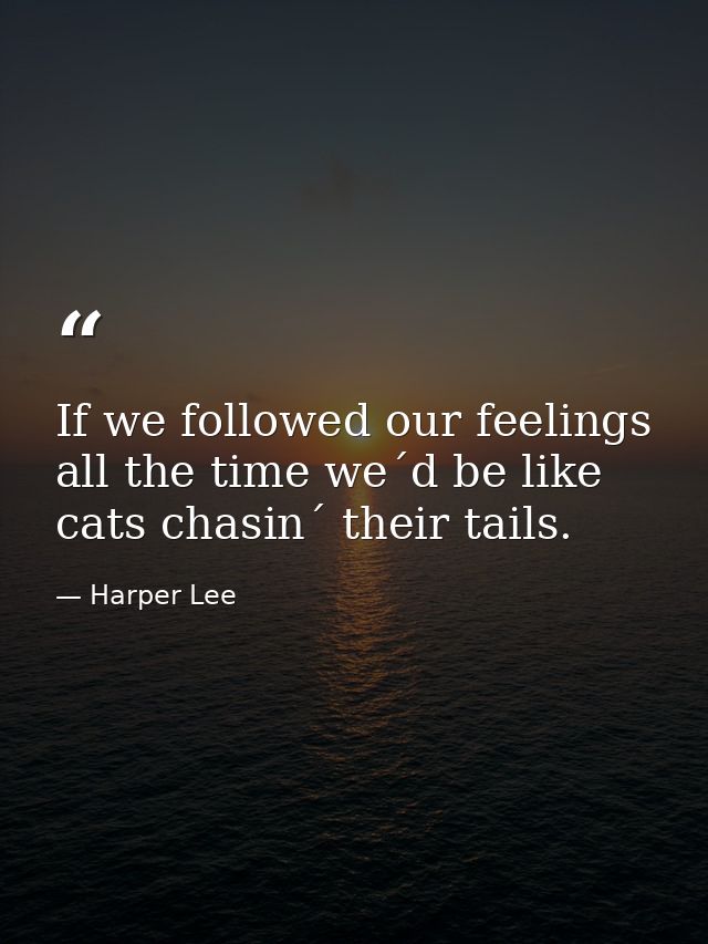 If we followed our feelings all the time we´d be like cats chasin´ their tails. — Harper Lee