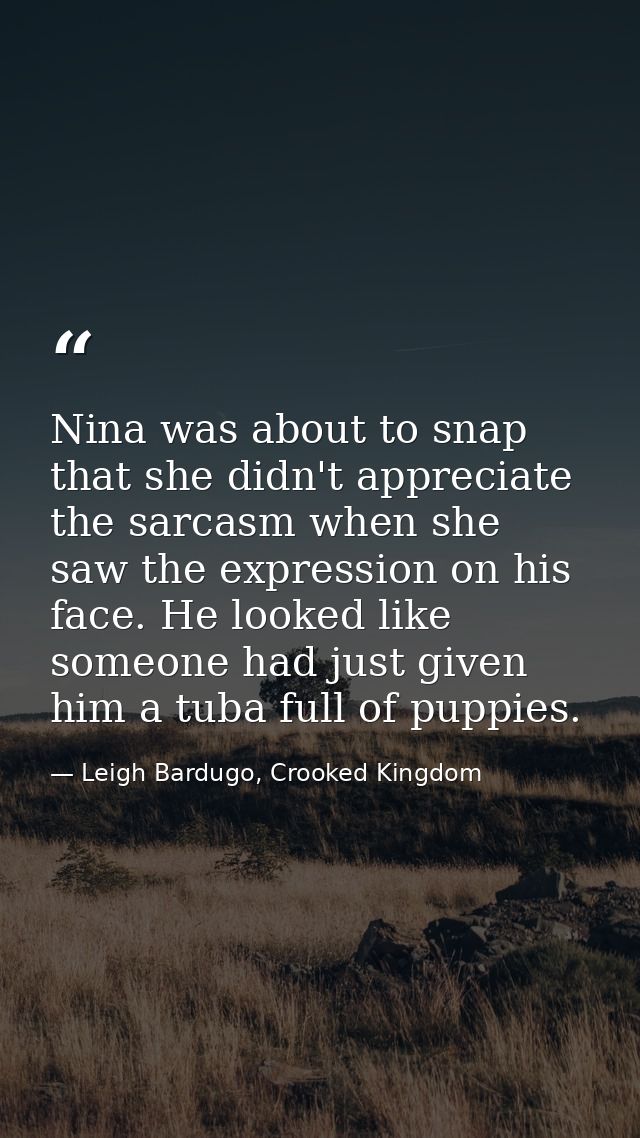 Nina was about to snap that she didn't appreciate the sarcasm when she saw the expression on his face. He looked like so — Leigh Bardugo, Crooked Kingdom