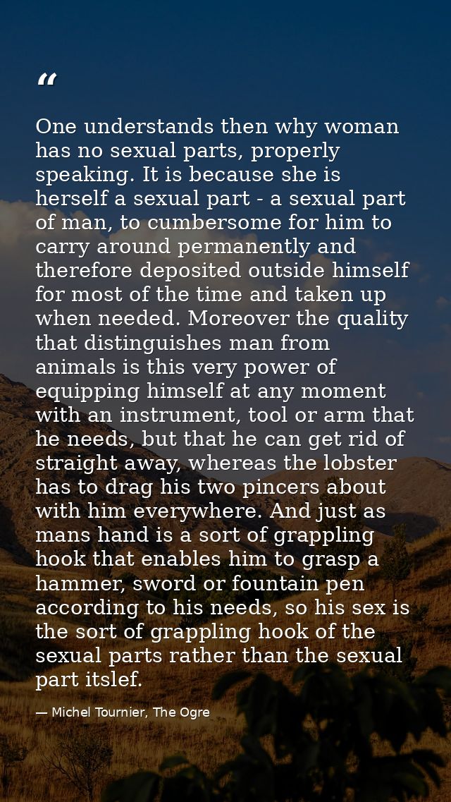 One understands then why woman has no sexual parts, properly speaking. It is because she is herself a sexual part - a se — Michel Tournier, The Ogre