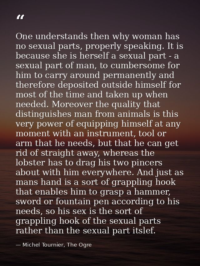 One understands then why woman has no sexual parts, properly speaking. It is because she is herself a sexual part - a se — Michel Tournier, The Ogre