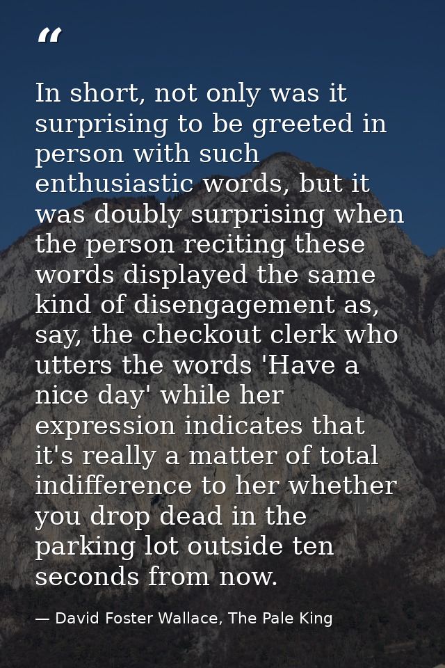 In short, not only was it surprising to be greeted in person with such enthusiastic words, but it was doubly surprising  — David Foster Wallace, The Pale King