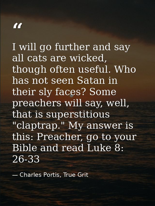 I will go further and say all cats are wicked, though often useful. Who has not seen Satan in their sly faces? Some prea — Charles Portis, True Grit