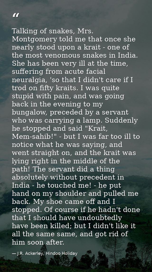 Talking of snakes, Mrs. Montgomery told me that once she nearly stood upon a krait - one of the most venomous snakes in  — J.R. Ackerley, Hindoo Holiday