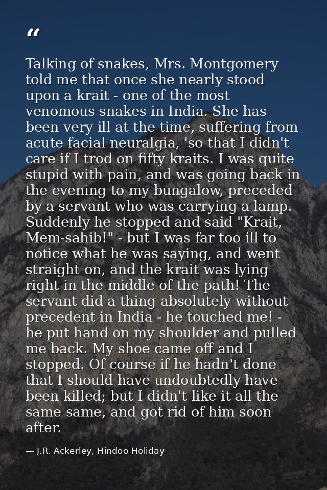 Talking of snakes, Mrs. Montgomery told me that once she nearly stood upon a krait - one of the most venomous snakes in  — J.R. Ackerley, Hindoo Holiday