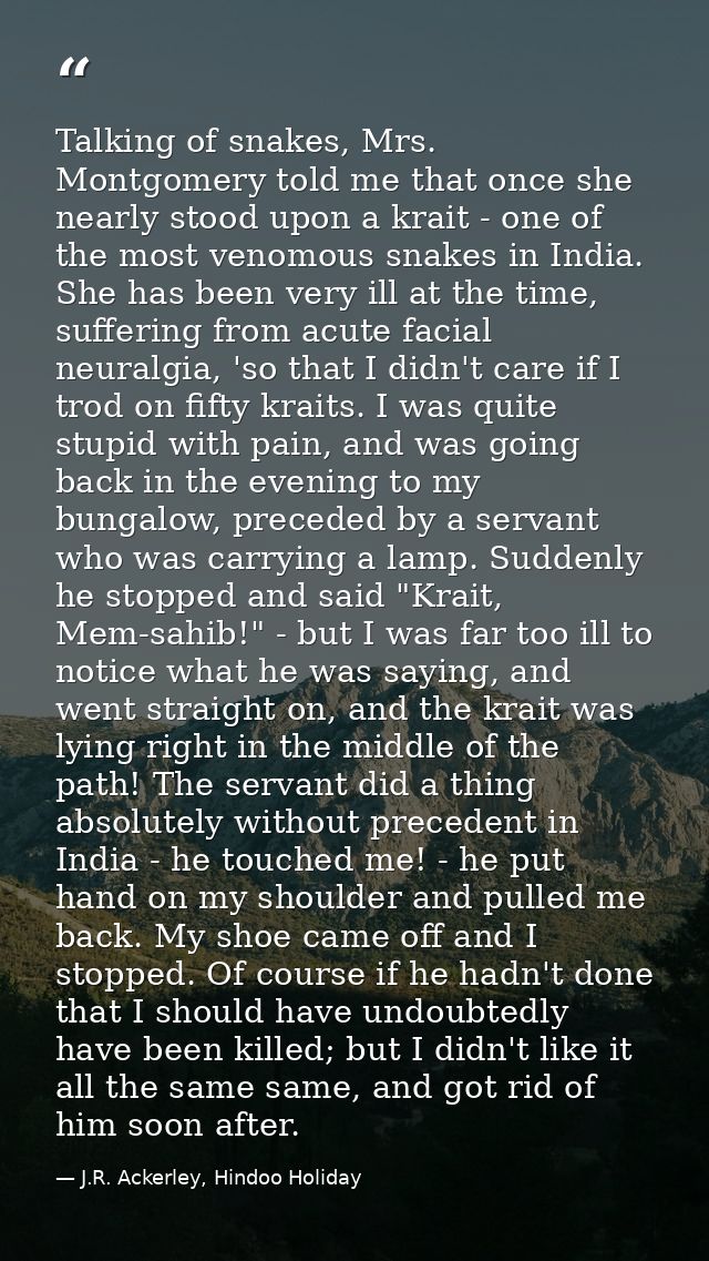 Talking of snakes, Mrs. Montgomery told me that once she nearly stood upon a krait - one of the most venomous snakes in  — J.R. Ackerley, Hindoo Holiday