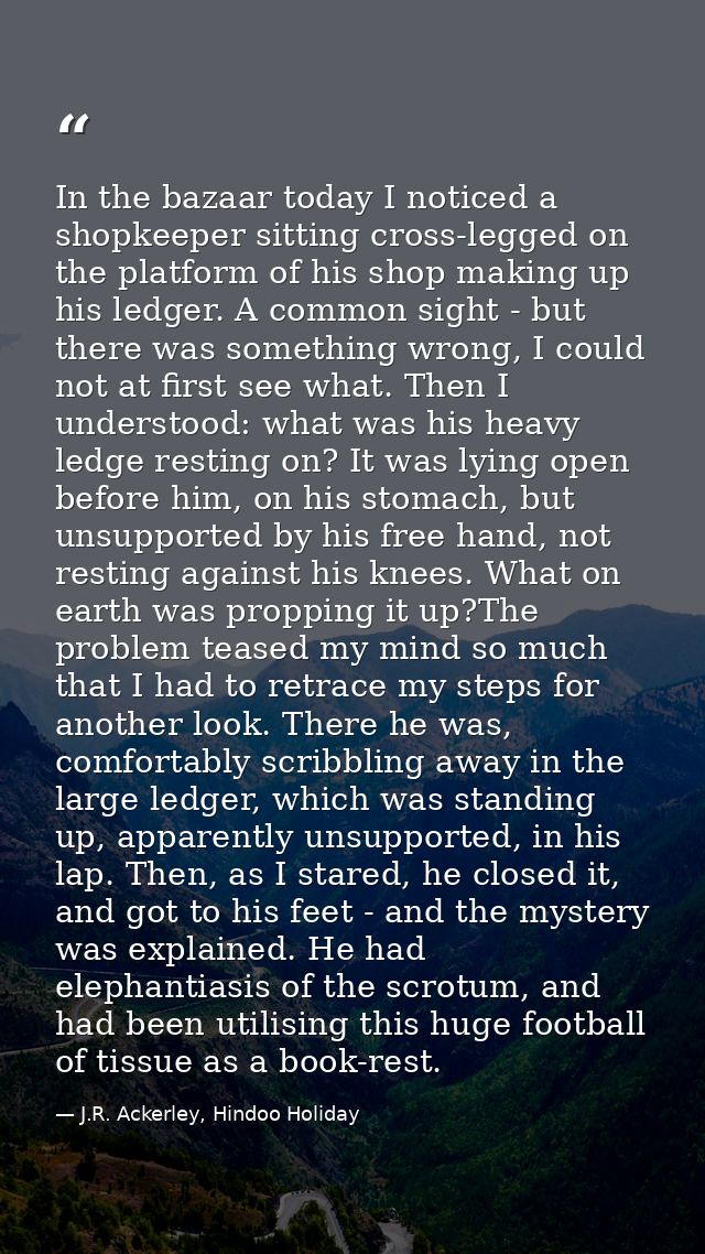 In the bazaar today I noticed a shopkeeper sitting cross-legged on the platform of his shop making up his ledger. A comm — J.R. Ackerley, Hindoo Holiday