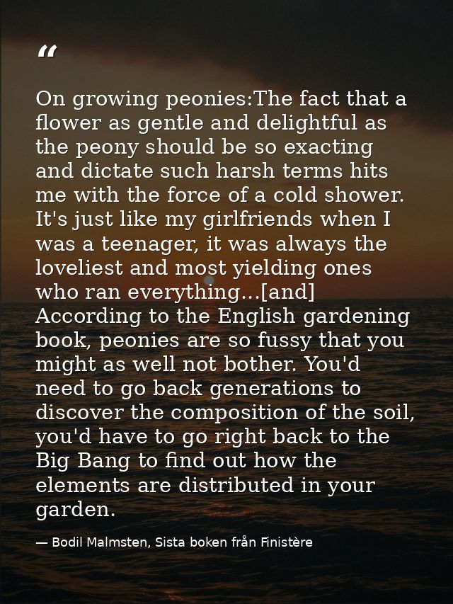 On growing peonies:The fact that a flower as gentle and delightful as the peony should be so exacting and dictate such h — Bodil Malmsten, Sista boken från Finistère
