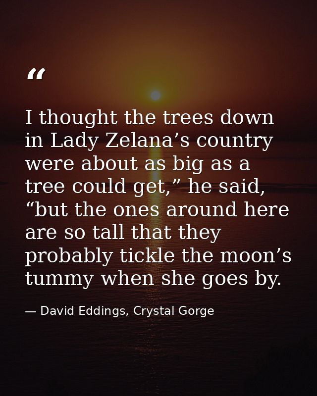 I thought the trees down in Lady Zelana’s country were about as big as a tree could get,” he said, “but the ones around  — David Eddings, Crystal Gorge