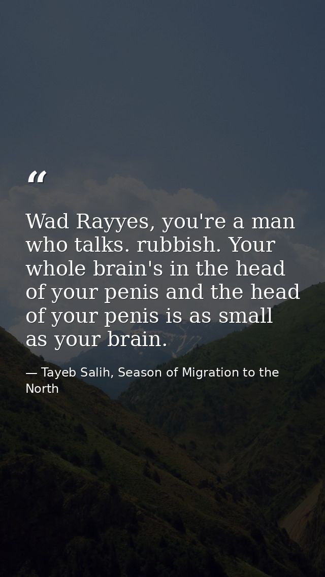 Wad Rayyes, you're a man who talks. rubbish. Your whole brain's in the head of your penis and the head of your penis is  — Tayeb Salih, Season of Migration to the North