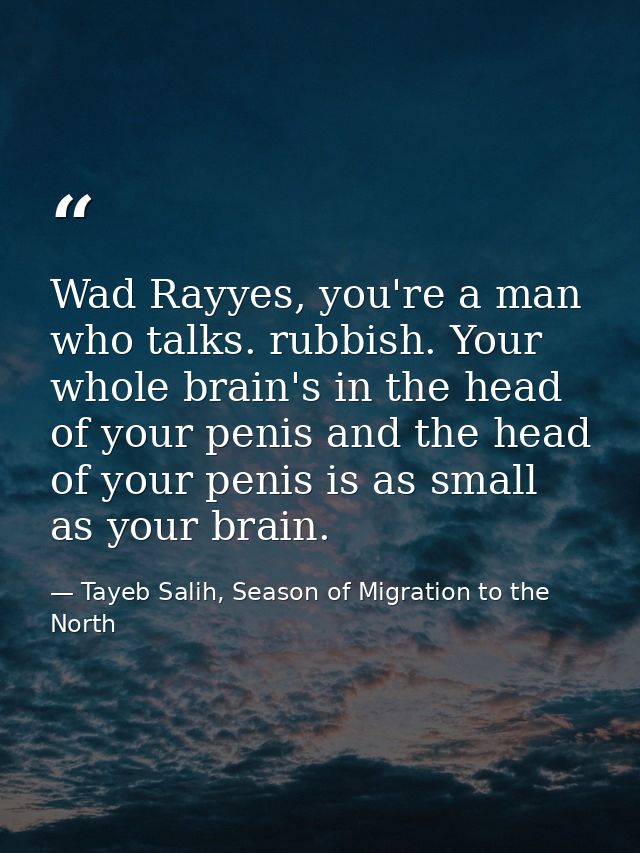 Wad Rayyes, you're a man who talks. rubbish. Your whole brain's in the head of your penis and the head of your penis is  — Tayeb Salih, Season of Migration to the North