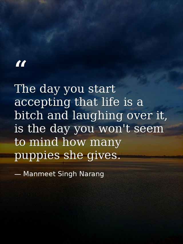The day you start accepting that life is a bitch and laughing over it, is the day you won't seem to mind how many puppie — Manmeet Singh Narang