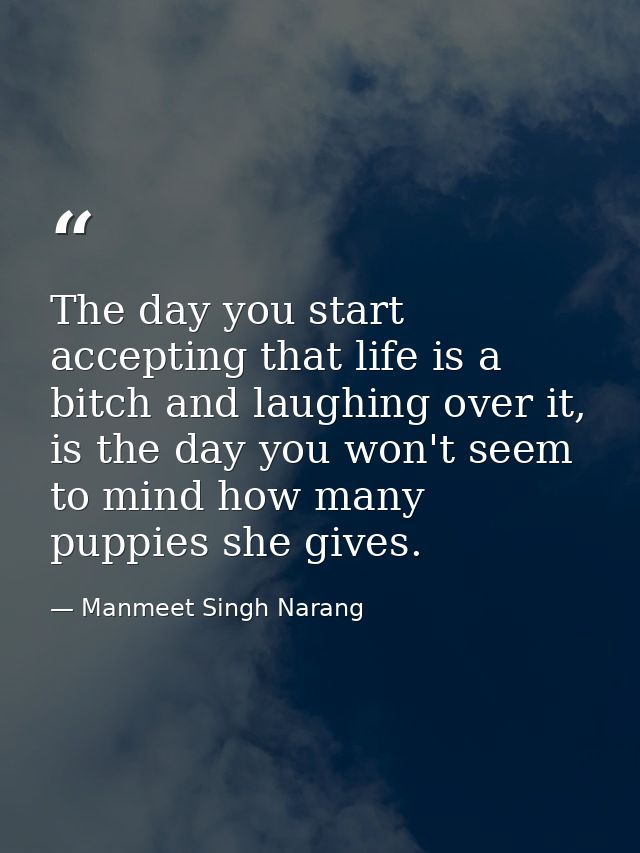 The day you start accepting that life is a bitch and laughing over it, is the day you won't seem to mind how many puppie — Manmeet Singh Narang