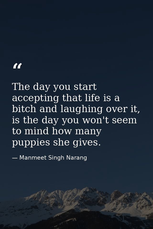 The day you start accepting that life is a bitch and laughing over it, is the day you won't seem to mind how many puppie — Manmeet Singh Narang