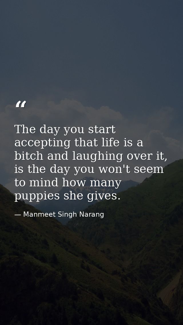 The day you start accepting that life is a bitch and laughing over it, is the day you won't seem to mind how many puppie — Manmeet Singh Narang