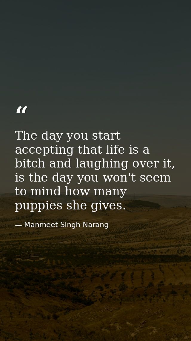 The day you start accepting that life is a bitch and laughing over it, is the day you won't seem to mind how many puppie — Manmeet Singh Narang