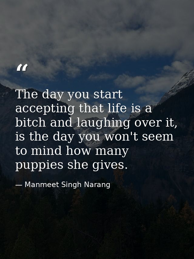 The day you start accepting that life is a bitch and laughing over it, is the day you won't seem to mind how many puppie — Manmeet Singh Narang