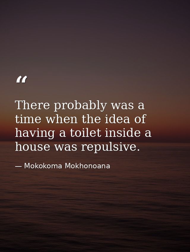 There probably was a time when the idea of having a toilet inside a house was repulsive. — Mokokoma Mokhonoana