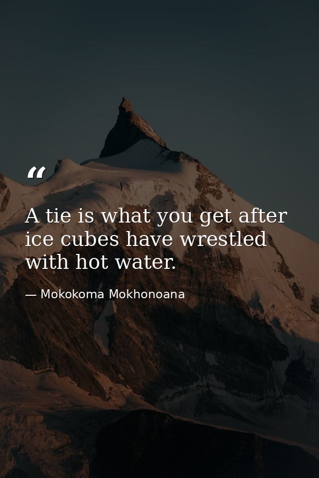 A tie is what you get after ice cubes have wrestled with hot water. — Mokokoma Mokhonoana
