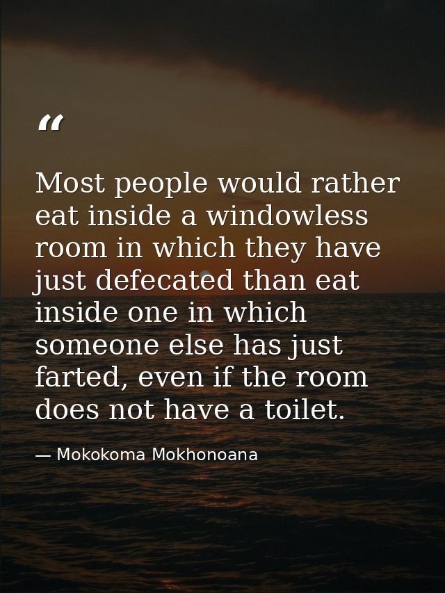Most people would rather eat inside a windowless room in which they have just defecated than eat inside one in which som — Mokokoma Mokhonoana