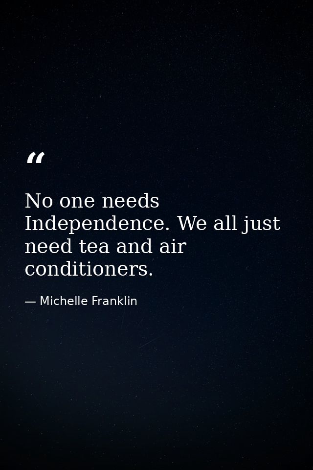 No one needs Independence. We all just need tea and air conditioners. — Michelle Franklin