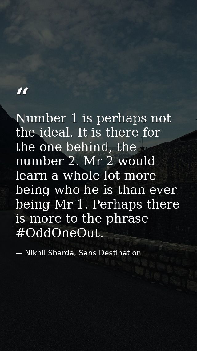 Number 1 is perhaps not the ideal. It is there for the one behind, the number 2. Mr 2 would learn a whole lot more being — Nikhil Sharda, Sans Destination