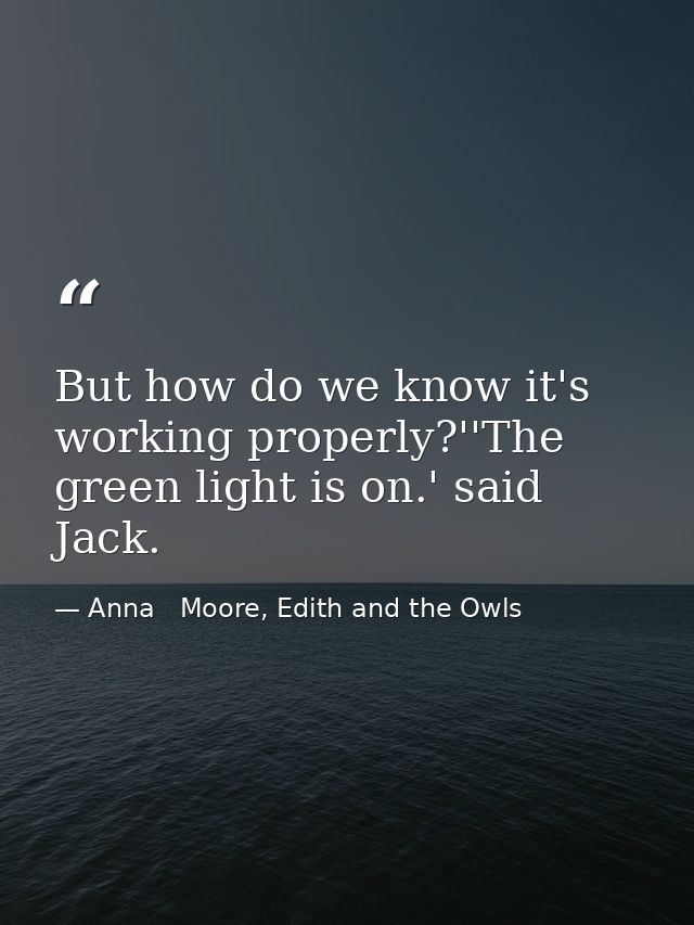 But how do we know it's working properly?''The green light is on.' said Jack. — Anna   Moore, Edith and the Owls