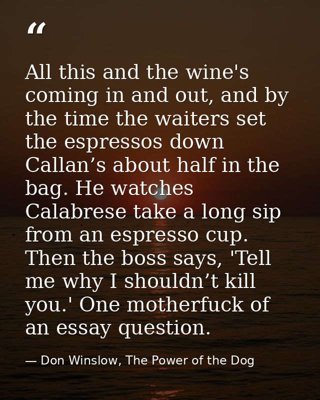 All this and the wine's coming in and out, and by the time the waiters set the espressos down Callan’s about half in the — Don Winslow, The Power of the Dog