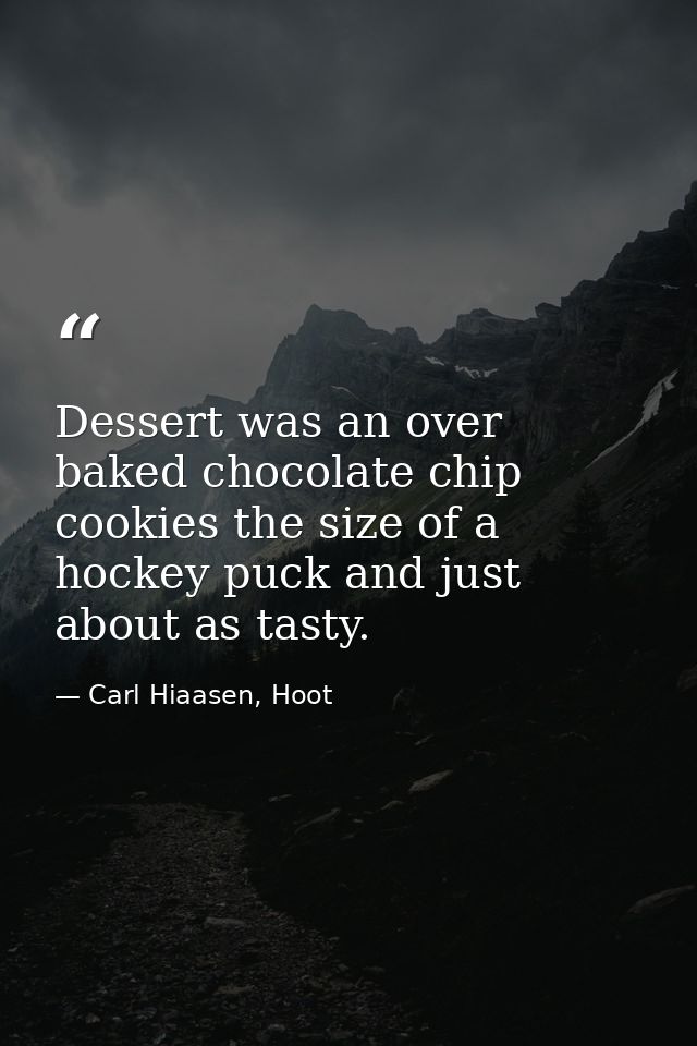 Dessert was an over baked chocolate chip cookies the size of a hockey puck and just about as tasty. — Carl Hiaasen, Hoot